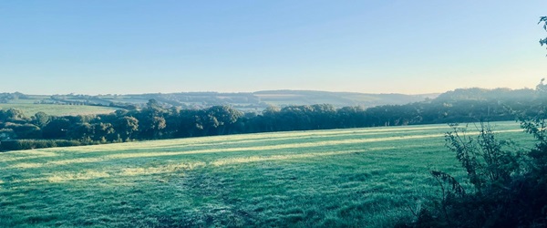 Cornwall Countryside Landscape - green field - bright sunshine